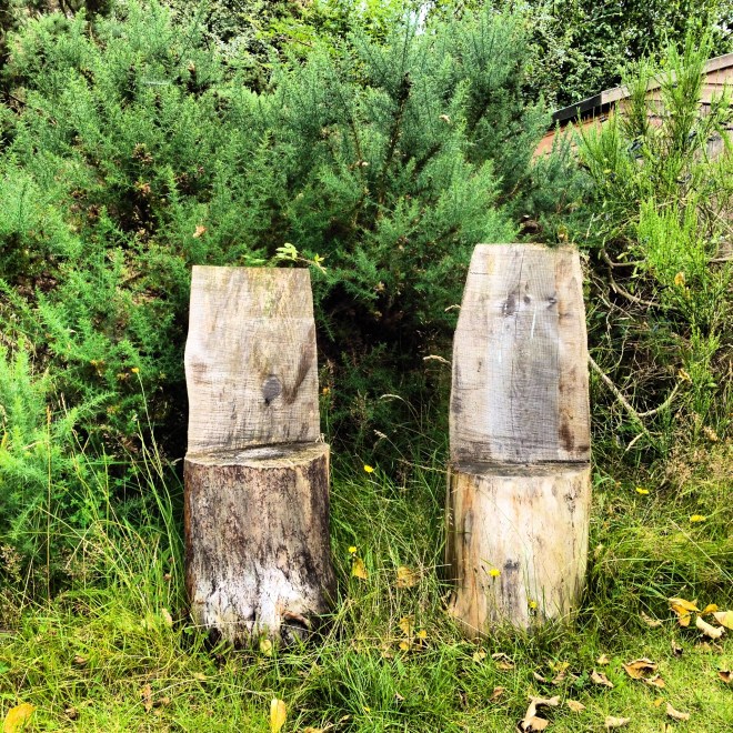 One- the Park-Findhorn Foundation, September w012