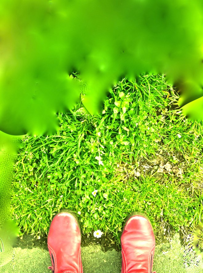 VANISHING-IMG_4182 - Versione 2