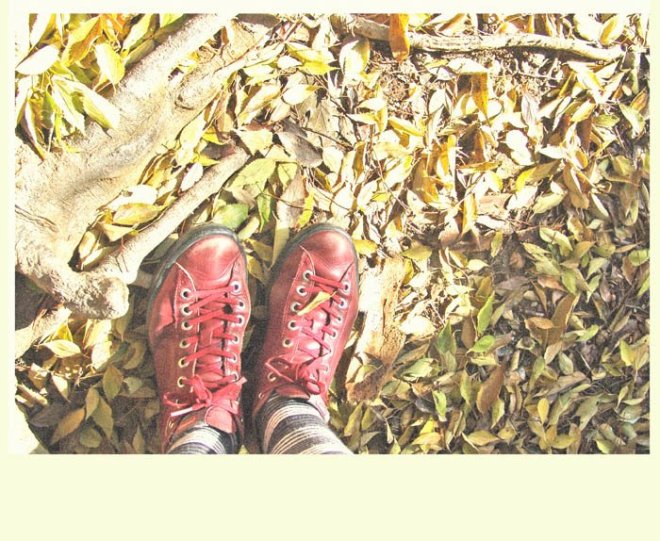 309826_2722594301941_701782483_n (1)