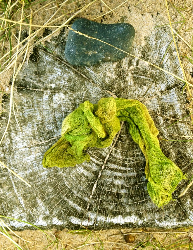 IMG_1723 - Versione 2