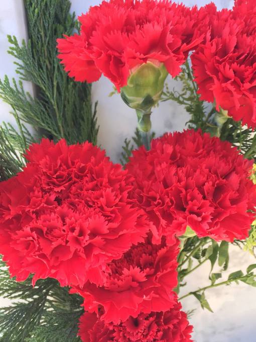 13041377_10209265461691464_7043380789761553280_o-1