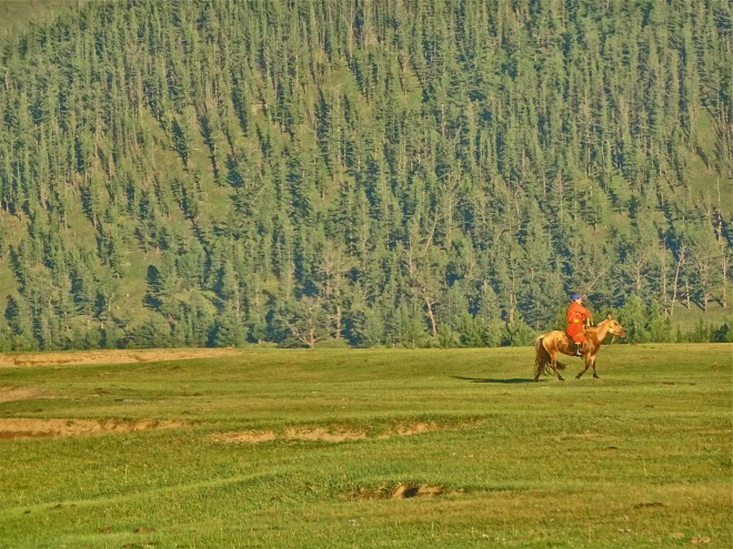 cavallo-cavaliere-ed-infinito-dsc00704_2