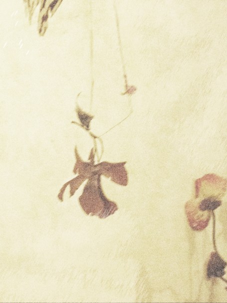 Tutto Ricodare e Tutto Dimenticare-IMG_3468-e1544914297357-1