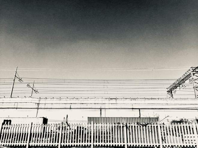 NPAL - foto via Corelli