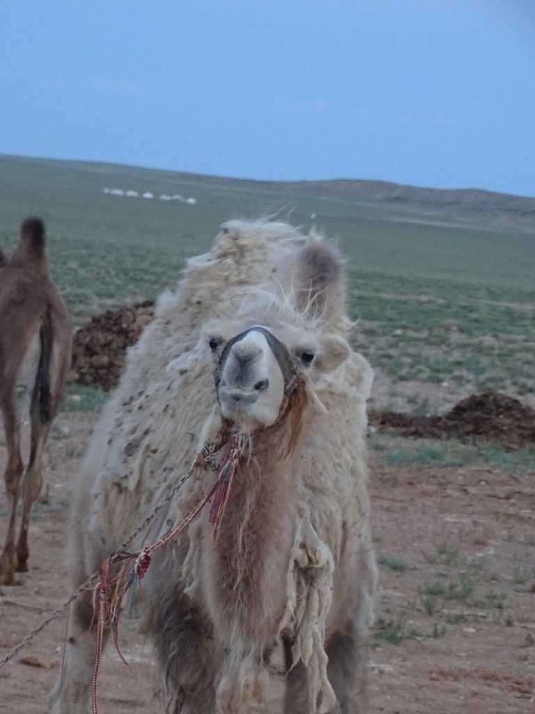 This image has an empty alt attribute; its file name is dsc02847.jpg